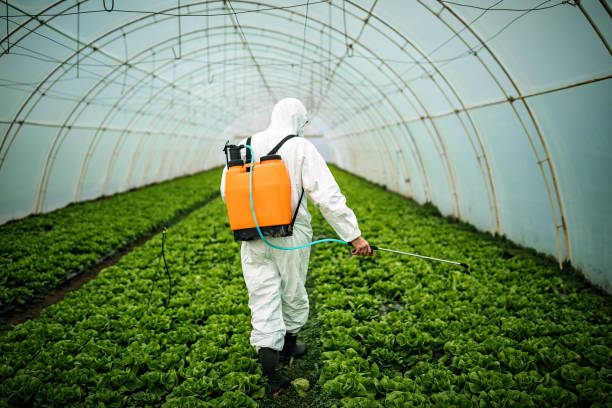 Best Pest Control Cost  in St Joseph, IL