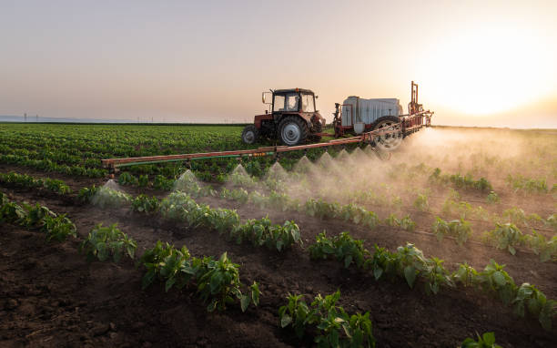 Best Mosquito Control Services  in St Joseph, IL