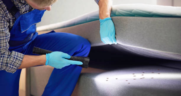Best Pest Control Near Me  in St Joseph, IL