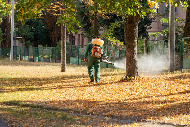 Best Local Pest Control Services  in St Joseph, IL