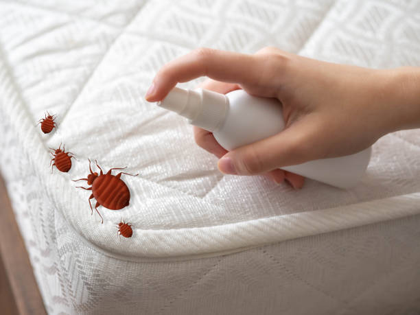 Best Bed Bug Extermination  in St Joseph, IL