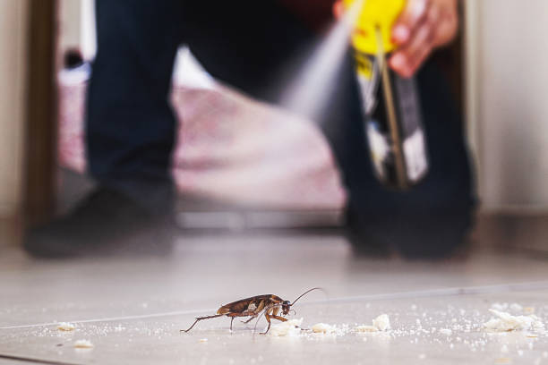 Best Pest Removal Services  in St Joseph, IL