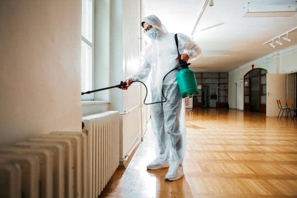 Best Affordable Pest Control Services  in St Joseph, IL