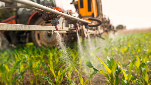 Best Commercial Pest Control Services  in St Joseph, IL